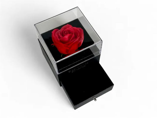 Balabinka Best Wishes Gift Box