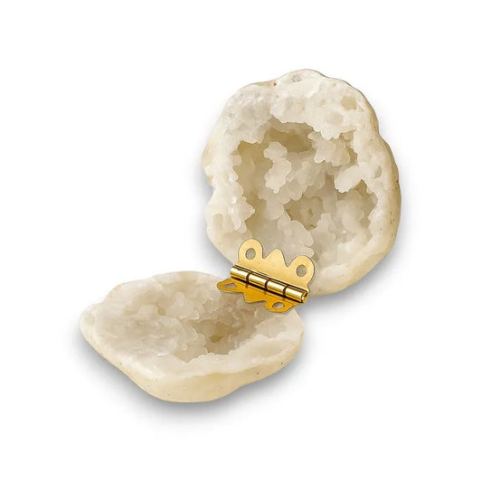 Balabinka Shell Jewelry Box