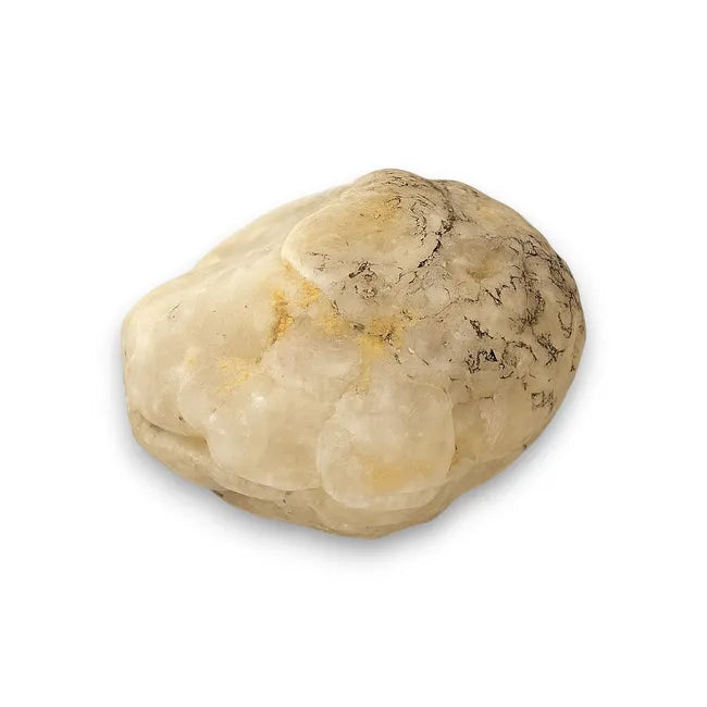 Balabinka Shell Jewelry Box