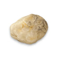 Balabinka Shell Jewelry Box