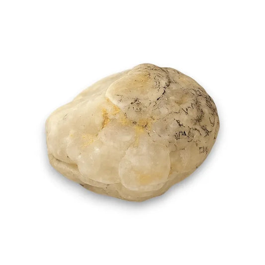 Balabinka Shell Jewelry Box