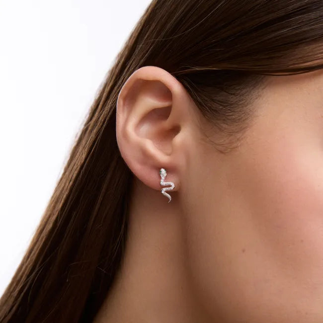 Balabinka Silver Snake Stud Earrings